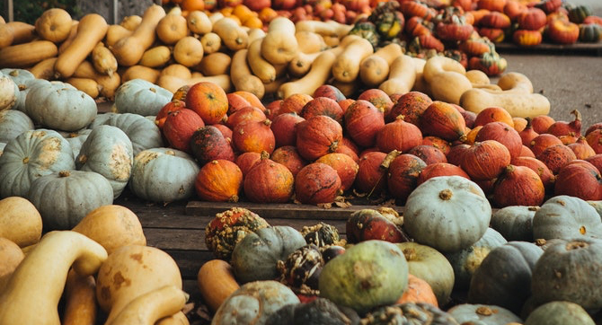 Top ten ways to eat up pumpkins!